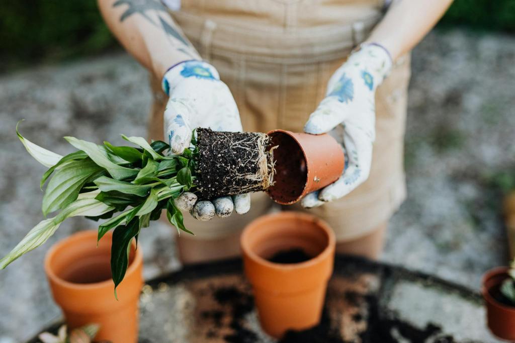 Healthy Gardening: Ergonomics & Safety&nbsp;Tips